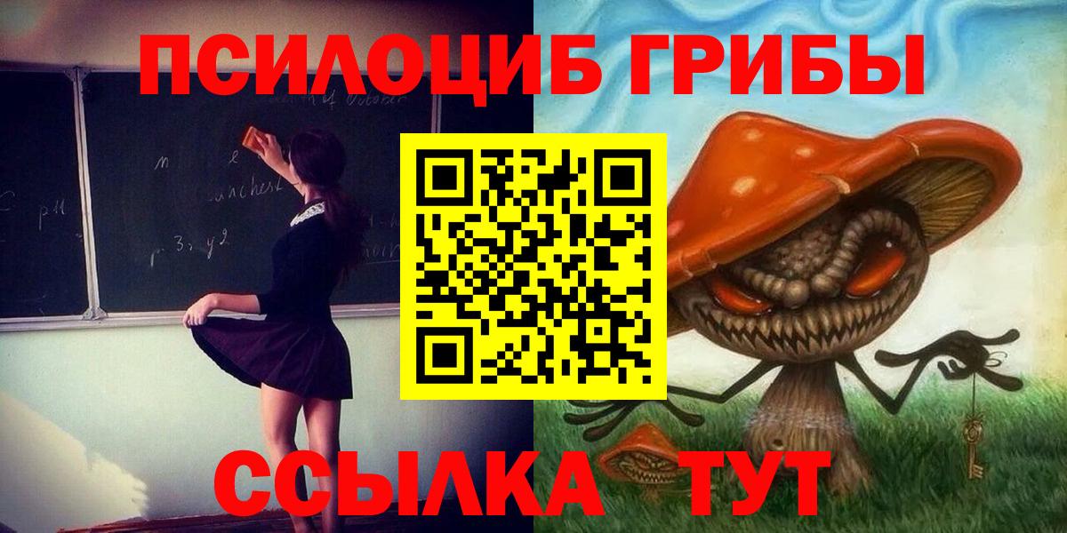 Галлюциногенные грибы Cubensis  Вход с VPN  Саянск  Галлюциногенные грибы GOLDEN TEACHER 